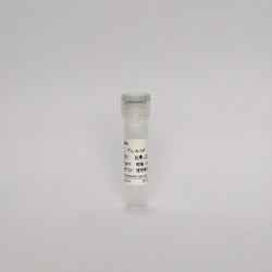 Recombinant Influenza A  Protein (Flu A-NP)