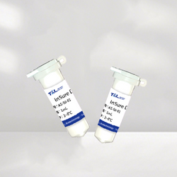 InSure DNA Transfection Reagent