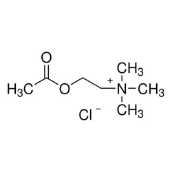 Acetylcholine Chloride