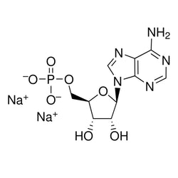 Adenosine-5'-Monophosphate (AMP) Disodium, Hexahydrate