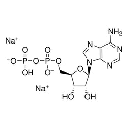 Adenosine-5'-Diphosphate (ADP) Disodium Salt