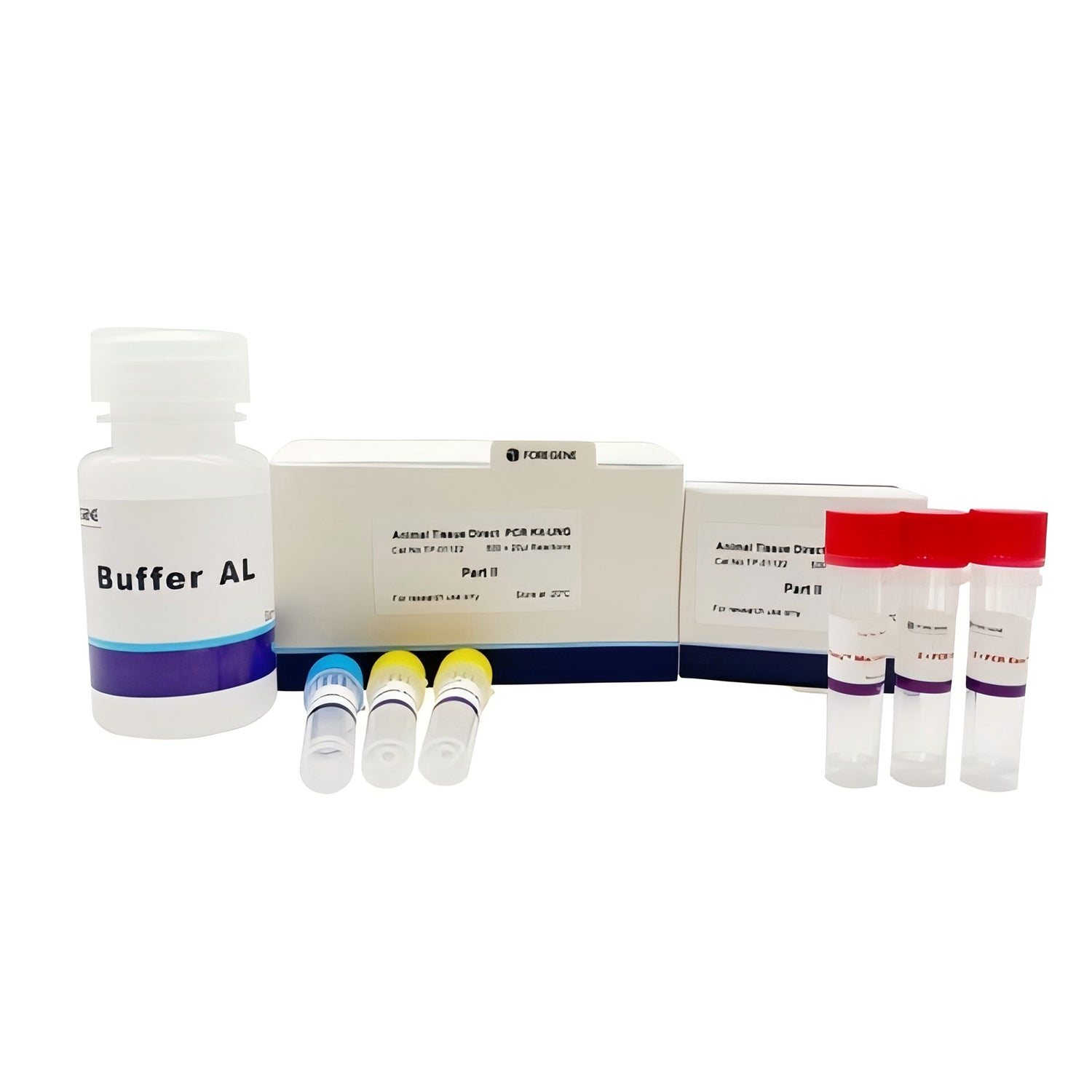 Animal Tissue Direct PCR Kit - Rapid Efficient Genomic DNA ...