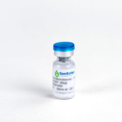 Anti-Tocilizumab Antibody (14B10), mAb, Mouse