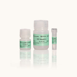 Animal Mammalian Membrane and Cytosol Protein Extraction Kit-Yamaybio
