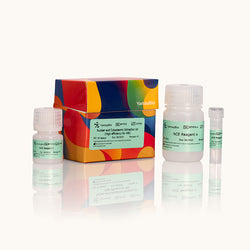 Animal Mammalian Membrane and Cytosol Protein Extraction Kit-Yamaybio