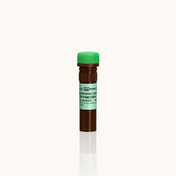 Protease Inhibitor Cocktail, EDTA-free-100x-Yamaybio