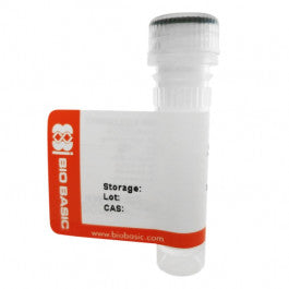 Western Blotting Reagents