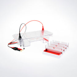 Biofuraw™ HE-220 High-Volume Horizontal Electrophoresis Cell