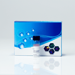 Biotin-X Cadaverine, Trifluoroacetate Salt (0.2ml) - Uelandy - Biofargo - 