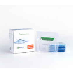 Bis-Tris, 10x8, 10%, 10 wells