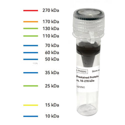 Broad Range 5-Color Prestained Protein Marker (11 Bands, 10–270 kDa)