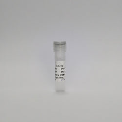 Recombinant  IL-6 Protein (IL6-mAb)