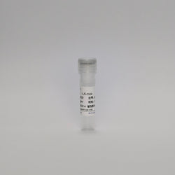 Recombinant  IL-6 Protein (IL6-mAb)