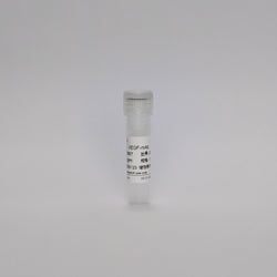 Recombinant VEGF-mAb