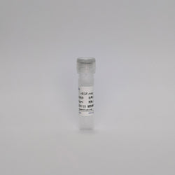 Recombinant VEGF-mAb