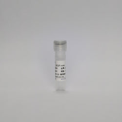 Recombinant VEGF-mAb