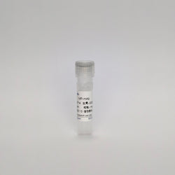 Recombinant Mycoplasma Pneumoniae Protein (MP-mAb)