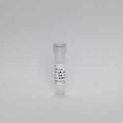 Recombinant Mycoplasma Pneumoniae Protein (MP-mAb)