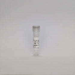 Mouse anti-Human IgM