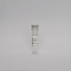 Mouse anti-Human IgG