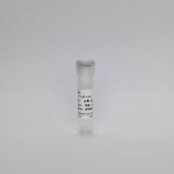Recombinant Influenza B Protein (FluB-mAb)