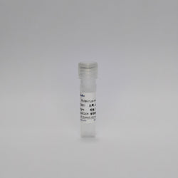 Recombinant Rotavirus Protein (Rotavirus-mAb)