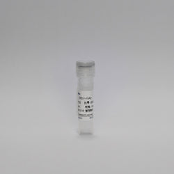 Recombinant Respiratory Syncytial Virus Protein (RSV-mAb)