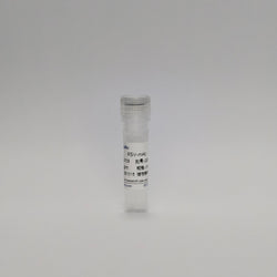 Recombinant Respiratory Syncytial Virus Protein (RSV-mAb)