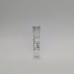 Recombinant Respiratory Syncytial Virus Protein (RSV-mAb)