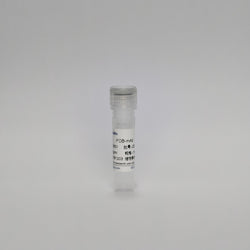 Recombinant Fecal Occult Blood Protein (FOB-mAb)