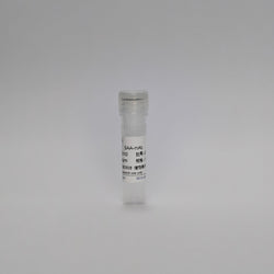 Recombinant Serum Amyloid A Protein (SAA-mAb)
