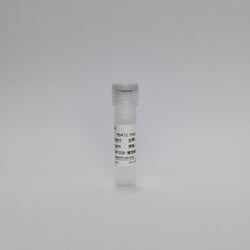 Recombinant HbA1c mAb
