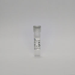 Recombinant MPXV MIR mAb