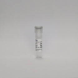 Recombinant MPXV MIR mAb