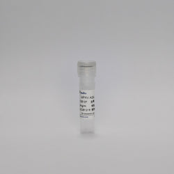 Recombinant MPXV A29L mAb