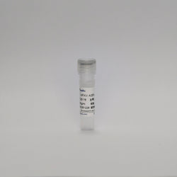 Recombinant MPXV A35R mAb