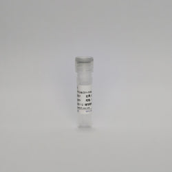 Recombinant Prolactin Protein (Prolactin-mAb)