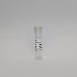 Recombinant Transferrin Protein (Transferrin-mAb)