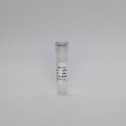 Recombinant Heparin-Binding Protein (HBP-mAb)