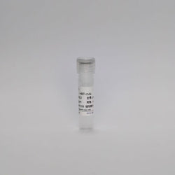Recombinant Heparin-Binding Protein (HBP-mAb)