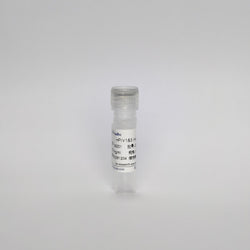 Recombinant HPIV1&3 mAb