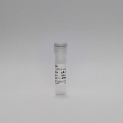 Recombinant HPIV2 mAb