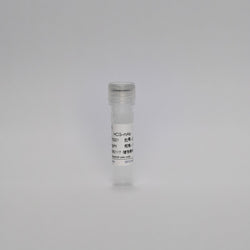 Recombinant HCG-mAb