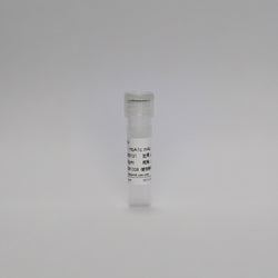 Recombinant HbA1c mAb