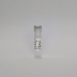 Recombinant IDH1-mAb