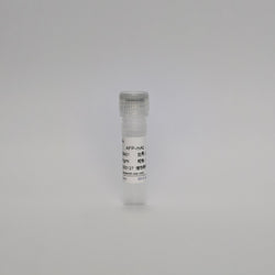Recombinant Serum Alpha-Feto Protein (AFP-mAb)