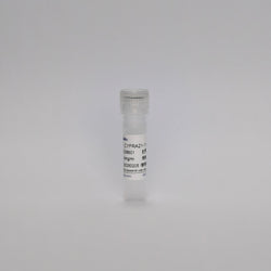 Recombinant CYFRA21-1 mAb