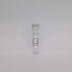 Recombinant CEA-mAb