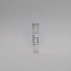 Recombinant Candida albicans mAb