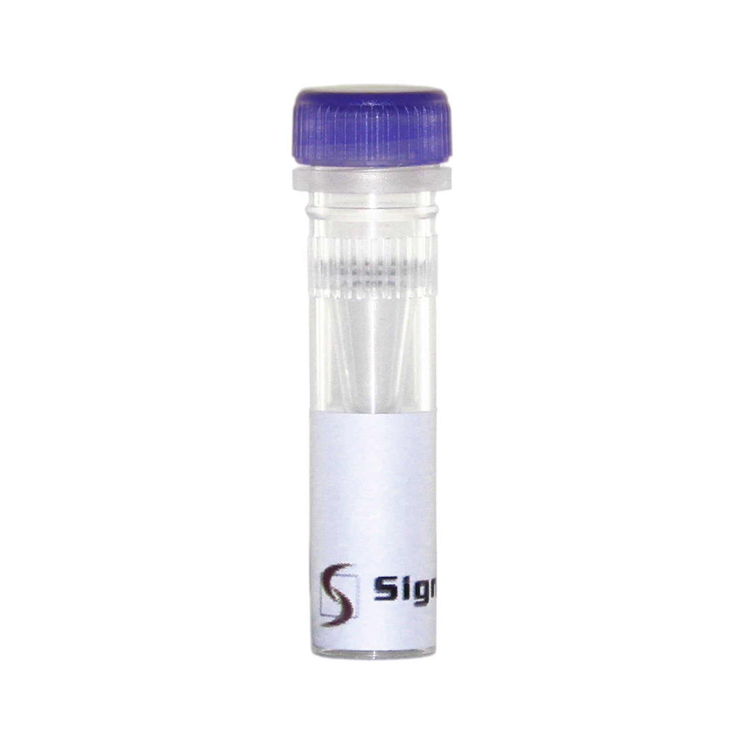 Cas Testing CAS System Nucleic Acid Detection Test Strip | Sensitive Lateral Flow ...